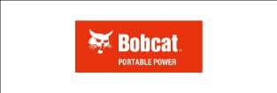 Bobcat